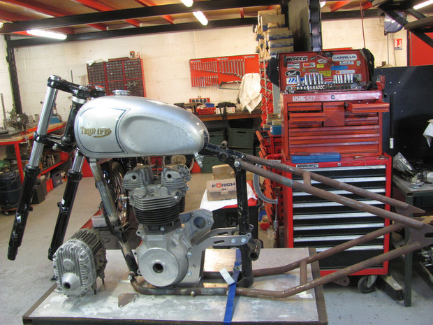 Triumph engine on a rigide lowbrow frame