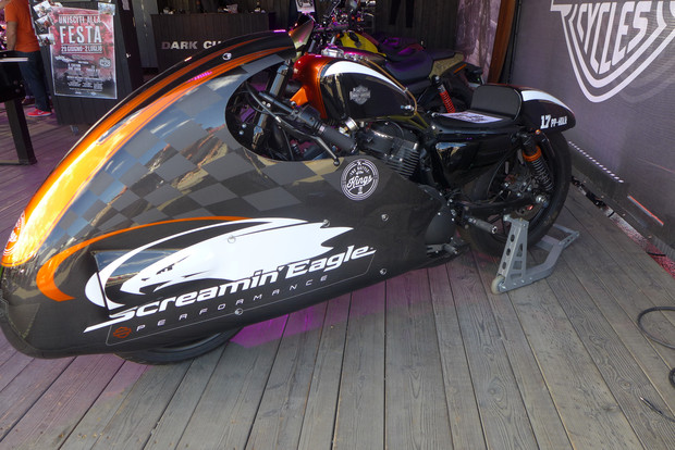 Screamin Eagle Sportster.